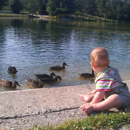 Hotel Rakitna Ξενοδοχείο