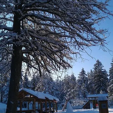 Hotel Rakitna