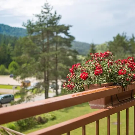 Ξενοδοχείο Hotel Rakitna