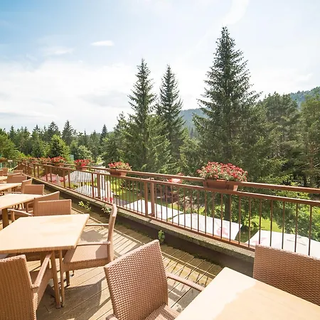 Ξενοδοχείο Hotel Rakitna Rakitna